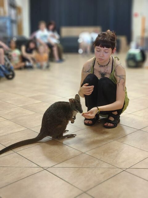 Powitanie kangura.